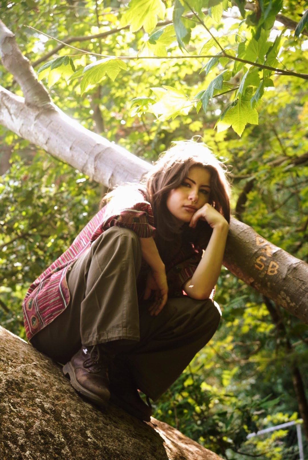 A quiet woodland portrait