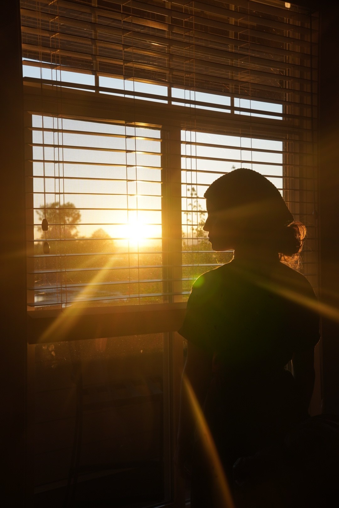 Late-day window light